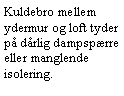 Tekstboks: Kuldebro mellem ydermur og loft tyder p drlig dampsprre eller manglende isolering.