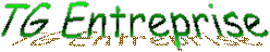TG Entreprise
